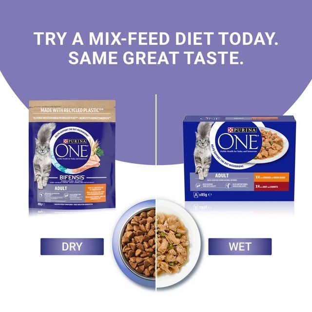 Purina One Chicken Dry Cat Food 800g