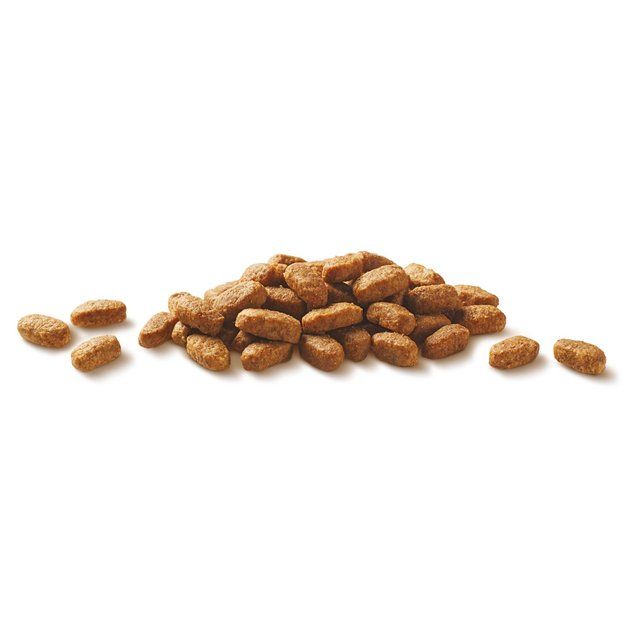 Purina One Chicken Dry Cat Food 800g