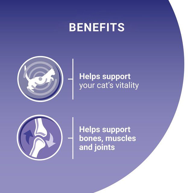 Purina One Mini Fillets Chicken & Beef Wet Cat Food 8 x 85g