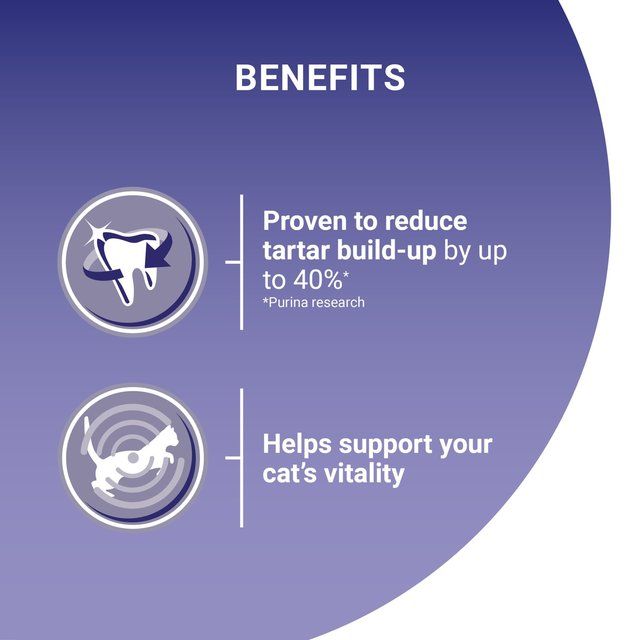 Purina One Salmon Dry Cat Food 800g