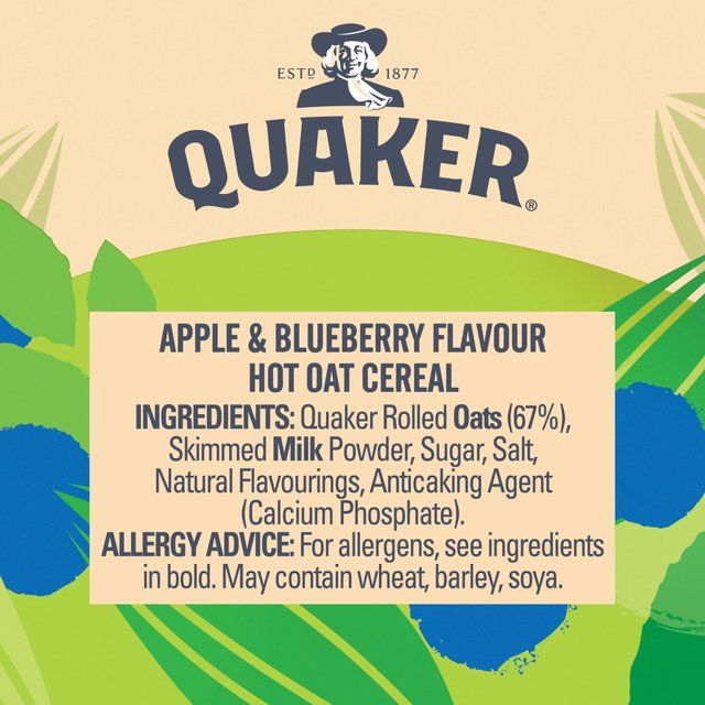 Quaker Oat So Simple Apple & Blueberry Porridge Cereal Pot 57g