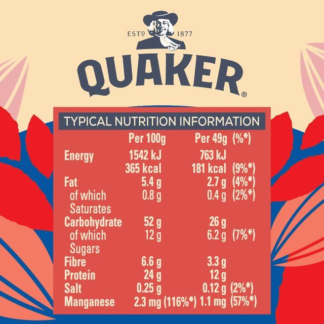 Quaker Oat So Simple Protein Porridge Cereal Pot Original 49g