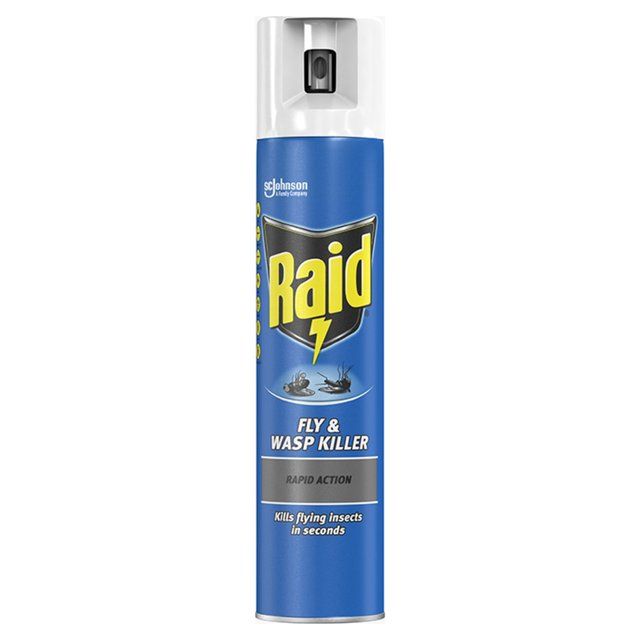 Raid Rapid Action Fly & Wasp Killer 300ml