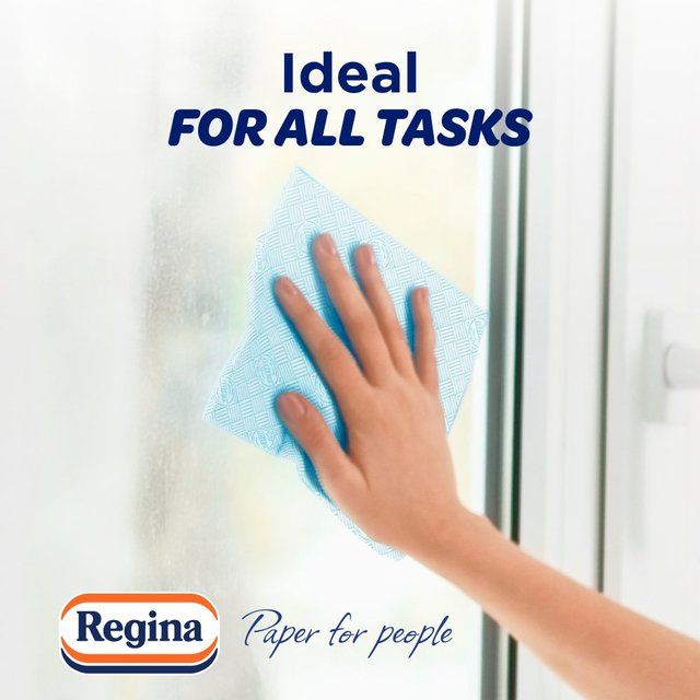 Regina Blitz Household Towel 2 per pack