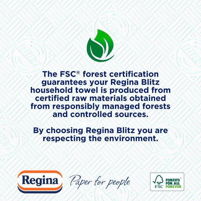 Regina Blitz Household Towel 3 per pack