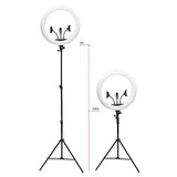 Rio Professional Makeup & Vlogging Dimmable LED Ring Light