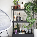 Rochester Rum & Raisin Drink 725ml