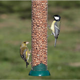 RSPB Premium Peanuts 900g