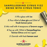 San Pellegrino Citrus Tonic Water Glass 4 x 200ml
