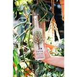 Sapling Climate Positive Vodka 70cl