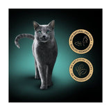 Sheba Fillets Cat Food Tray Chicken and MSC Tuna in Gravy 60g