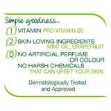 Simple Gentle Care Handwash 250ml