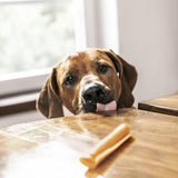 SmartBones Chicken Rawhide Free Sticks Dog Treats 10 per pack