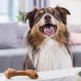 SmartBones Large Chicken Rawhide Free Bone Dog Treat 109g