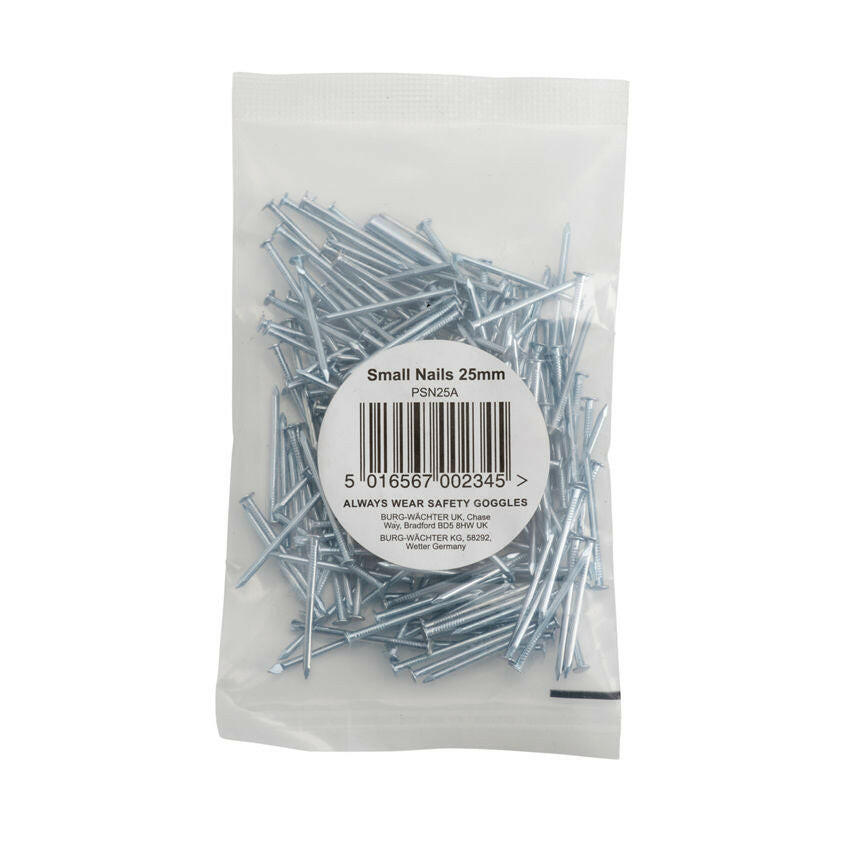 Sterling 200 x Small Nails 25mm GOODS ASDA