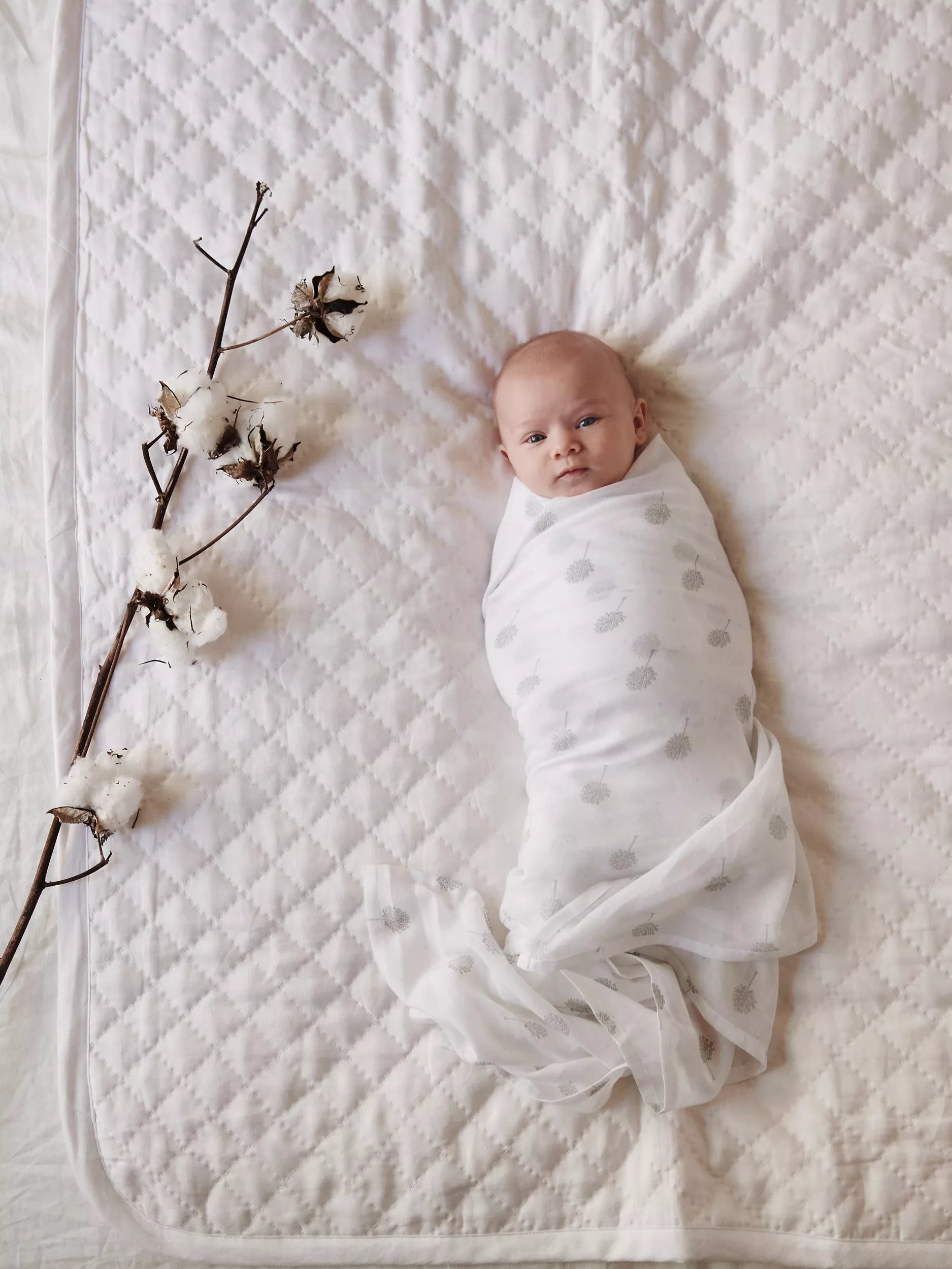 Purebaby Muslin Wrap, Pack of 2, Pale Grey - McGrocer