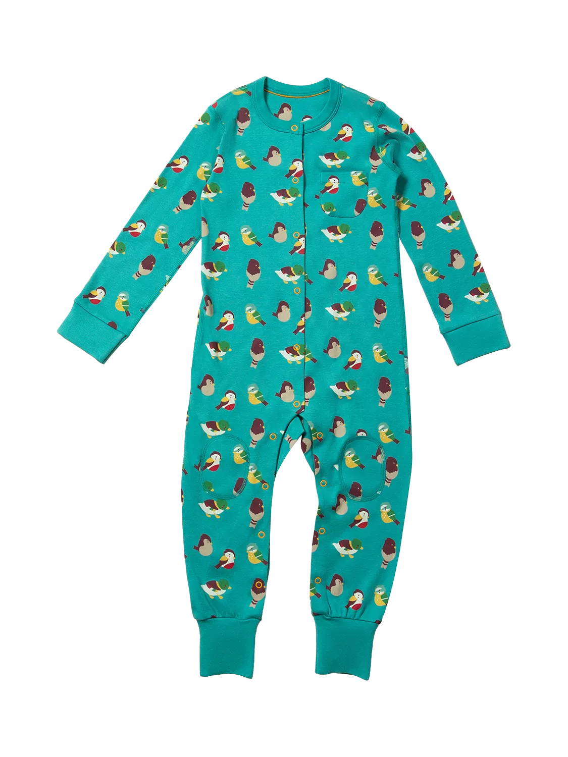 Little Green Radicals Baby Garden Birds Adaptive Onesie, Teal/Multi - McGrocer