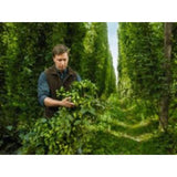 Bitburger Premium Pils   4 x 500ml - McGrocer