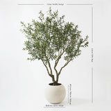 Artificial 8ft Olive Tree in Planter - McGrocer
