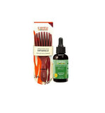 Cantu Brush  Rosemary  Mint Scalp Oil