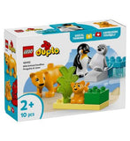 LEGO DUPLO Wild Animal Families Penguins  Lions