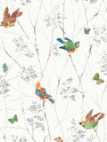 Laura Ashley Aviary Wallpaper Multi 115260