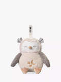Tommee Tippee Deluxe Ollie Owl Sleeping Aid - McGrocer
