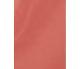 Charlotte Tilbury Pillow Talk Big Lip Plumpgasm