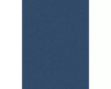 Pro-Ject Colourful Audio System with Debut Carbon EVO Turntable, MaiA S3 Amplifier & Speaker Box 5 S2 Speakers