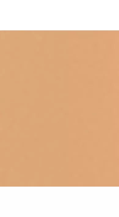 Trinny London BFF All Day Foundation - McGrocer