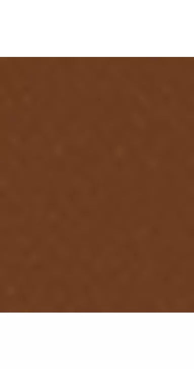 Trinny London BFF All Day Foundation - McGrocer