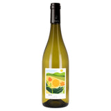 Terra Cogita Languedoc Soreli