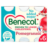 Benecol Cholesterol Lowering Pomegranate Yoghurt Drink