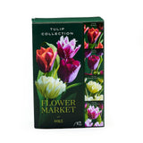 M&S TULIP COLLECTION