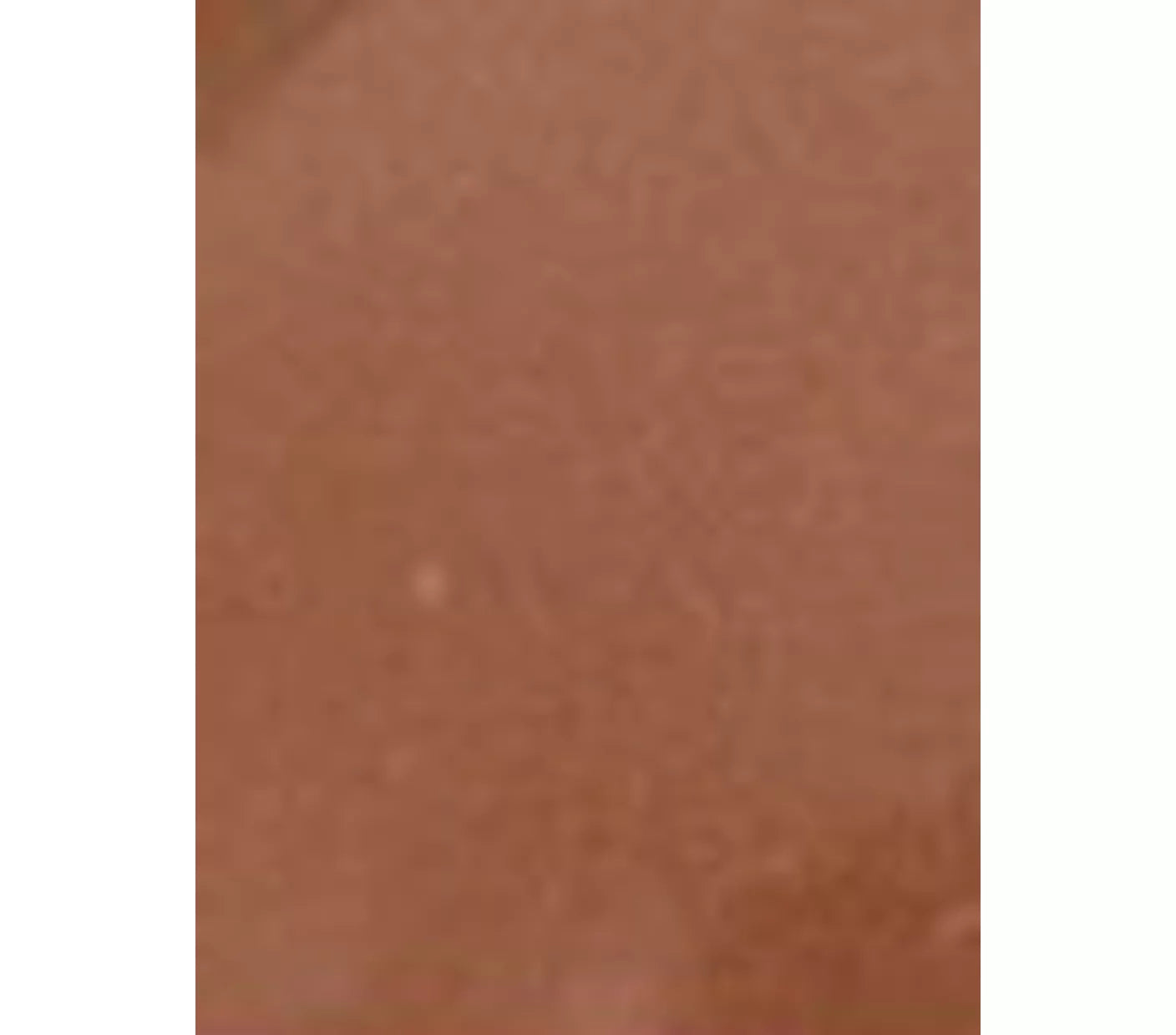 Sisley-Paris Phyto-Blush Twist - McGrocer