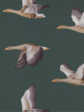 Sanderson Elysian Geese Wallpaper - McGrocer