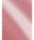 Clarins Natural Lip Perfector