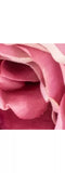 Floralsilk Artificial Gemma Rose Spray - McGrocer