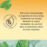 Twinings Peppermint Tea   20 per pack GOODS M&S   