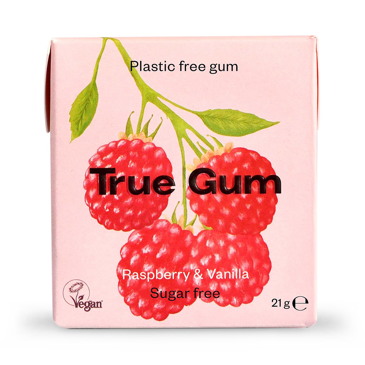 True Gum Mint Chewing Gum 21g - McGrocer