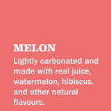 Gin  Juice Melon Can