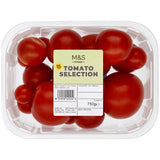 MS Tomato Selection