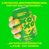 XOXO Sparkling Ginger  Lemon