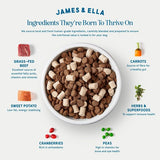 James  Ella Kibble  Freeze Dried Raw Beef Dog Food
