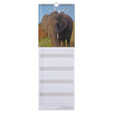 MS National Geographic 2025 Slimline Calendar
