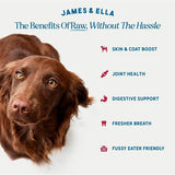 James  Ella Freeze Dried Raw Beef Dog Topper