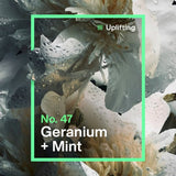 INEOS Skin Science Geranium  Mint Handwash