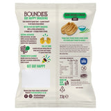 Boundless Sour Cream  Onion Chips Multi-Pack