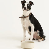 Read My Lips Pepsi Max Bottle Lip Balm