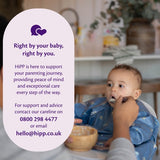 HiPP Organic 100 Baby Rice 6 Months